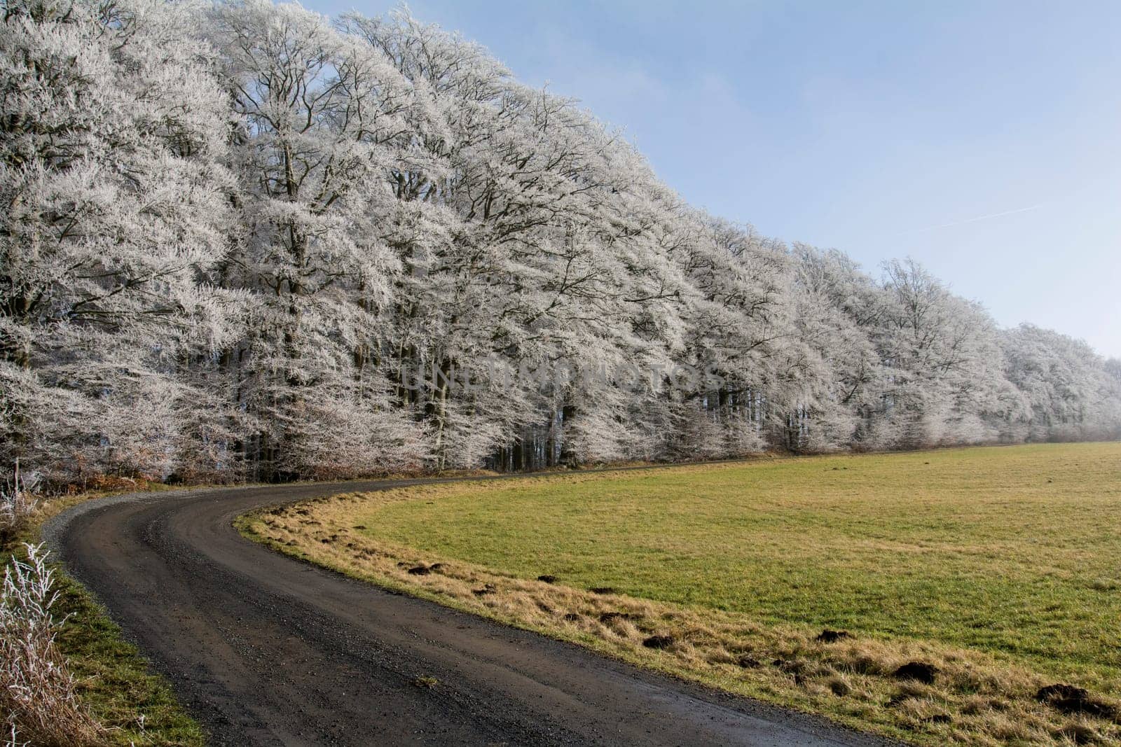 Cold winter in the Eifel in Germany