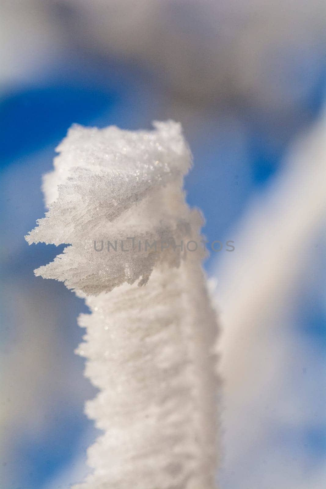Cold winter in the Eifel in Germany