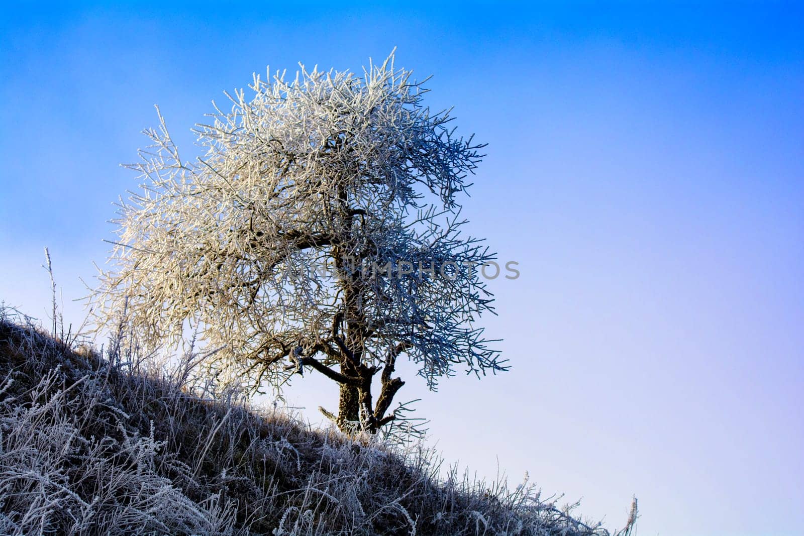Cold winter in the Eifel in Germany