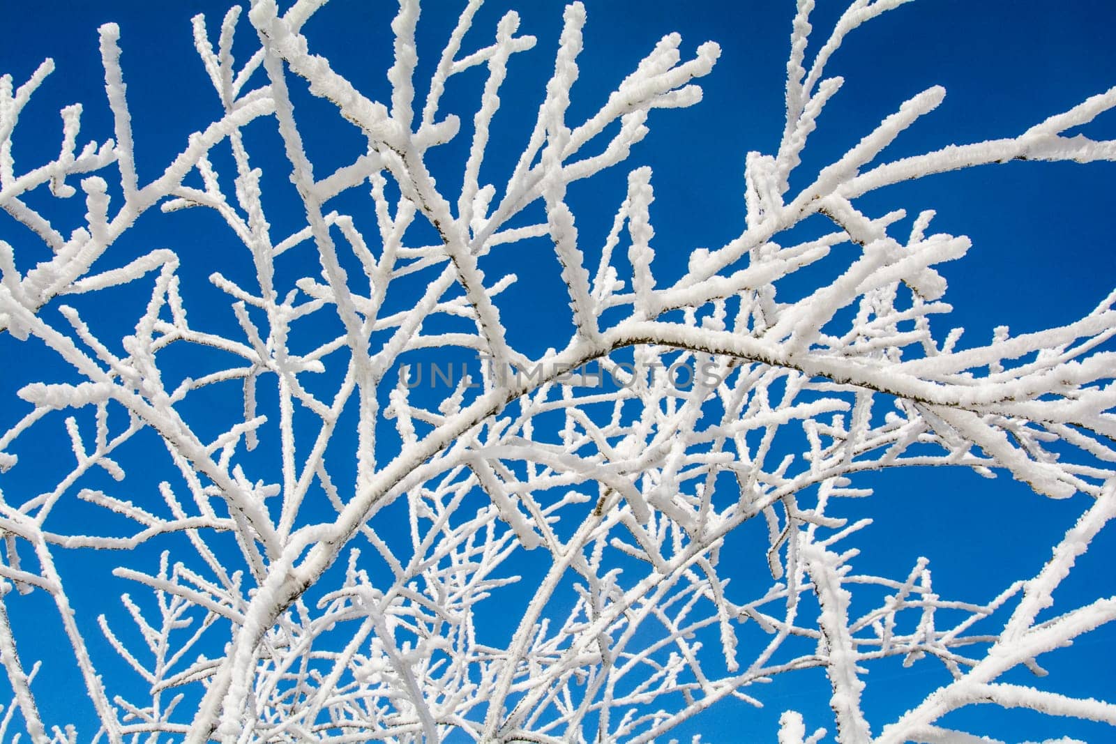 Cold winter in the Eifel in Germany