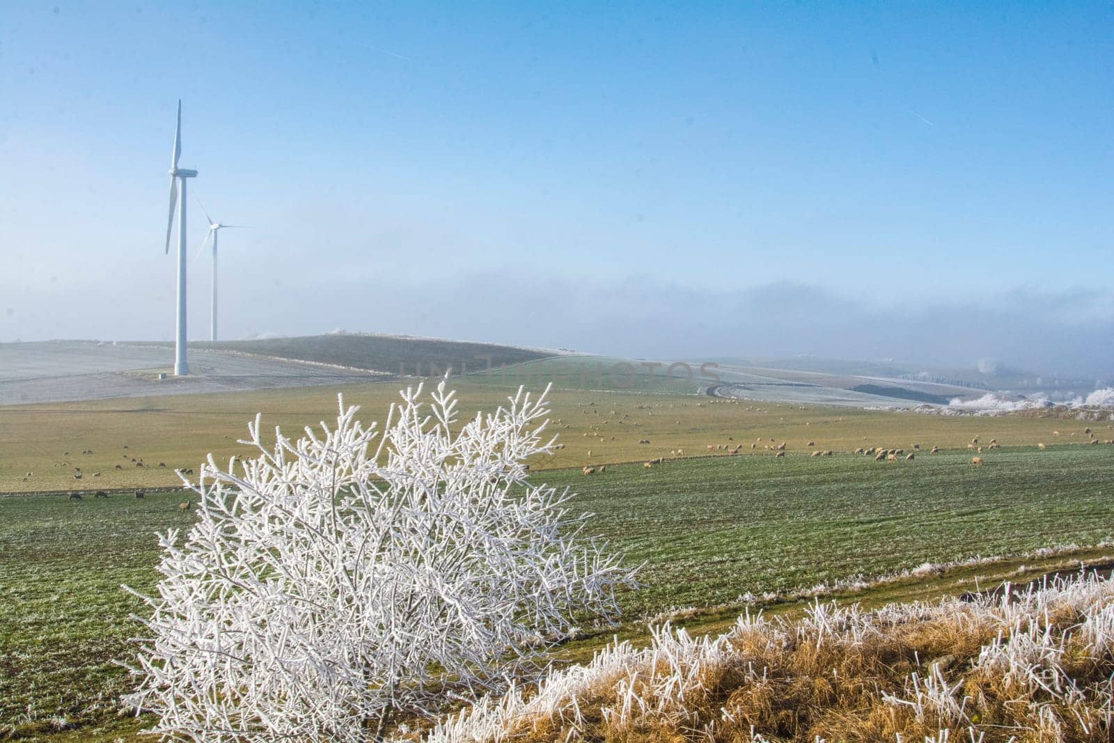 Cold winter in the Eifel in Germany