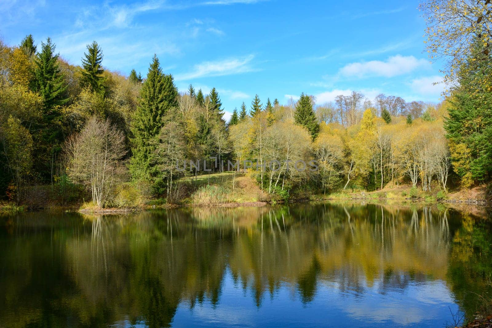 Small lake in a forest, in autumn in the Rhön, Germany, with blue sky and copy space
