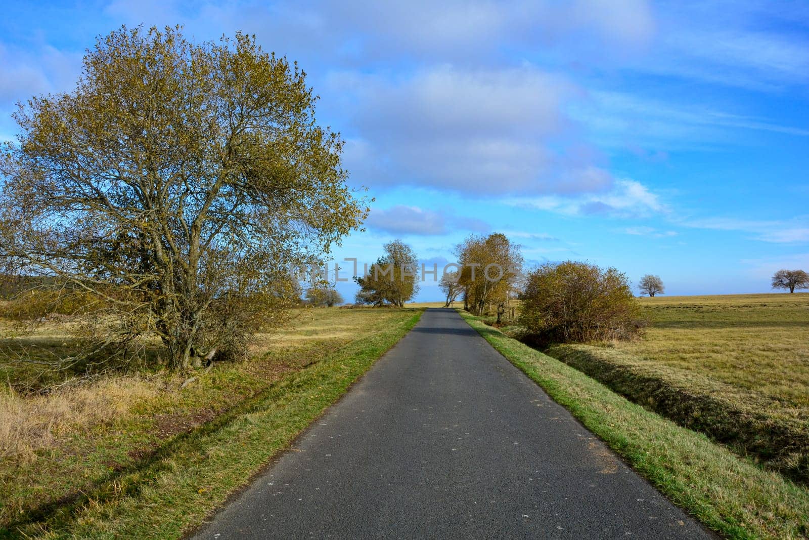 Lonely country road through a green landscape, with blue sky in the Rhoen, Bavaria, Germany