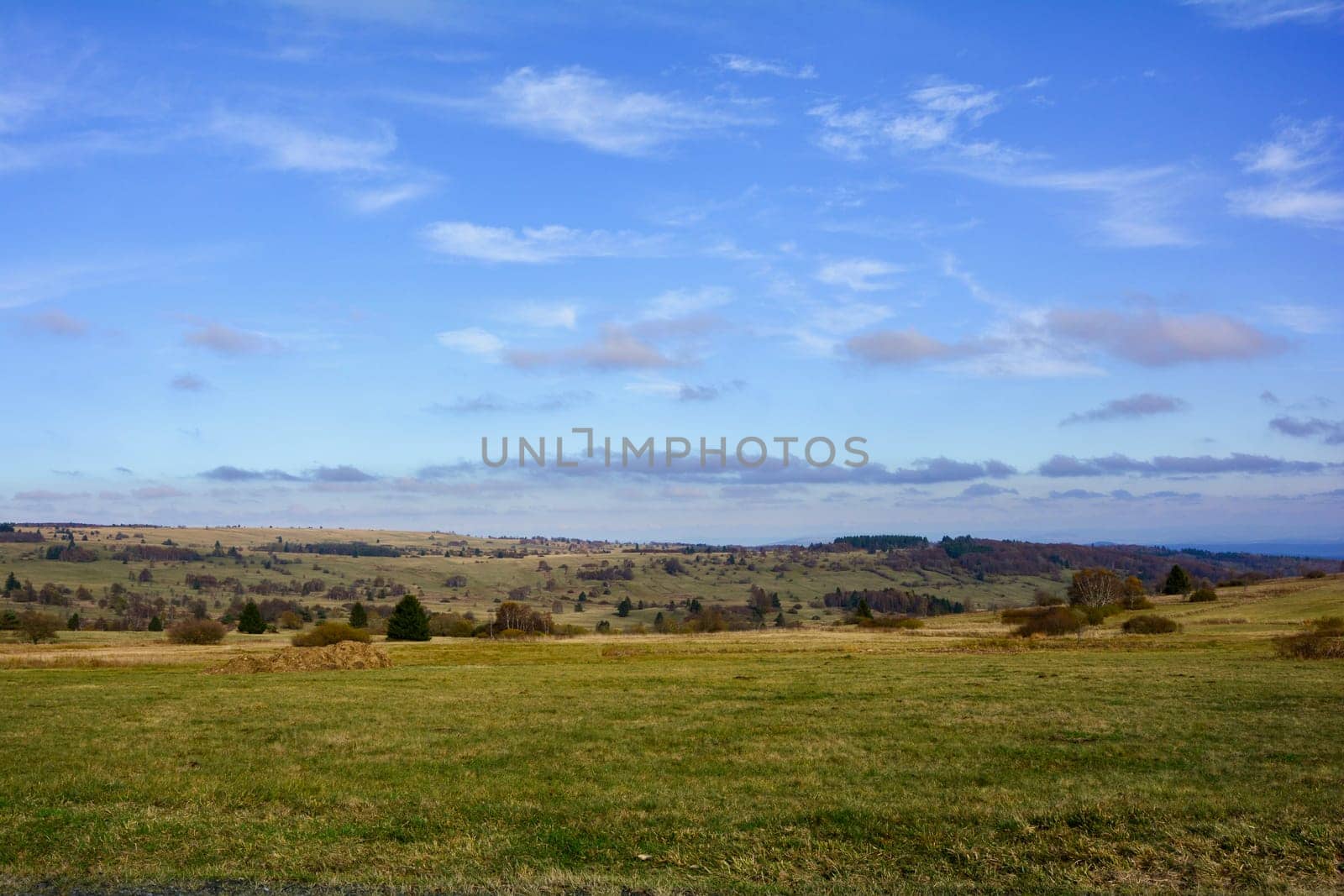 Landscape  with big meadow, trees and blue sky in the Rhön, Bavaria, Germany