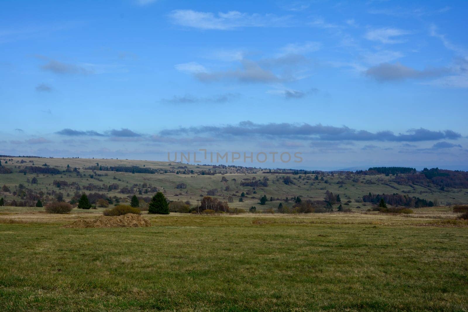Green landscape  with big meadow, trees and blue sky in the Rhön, Bavaria, Germany, with copy space