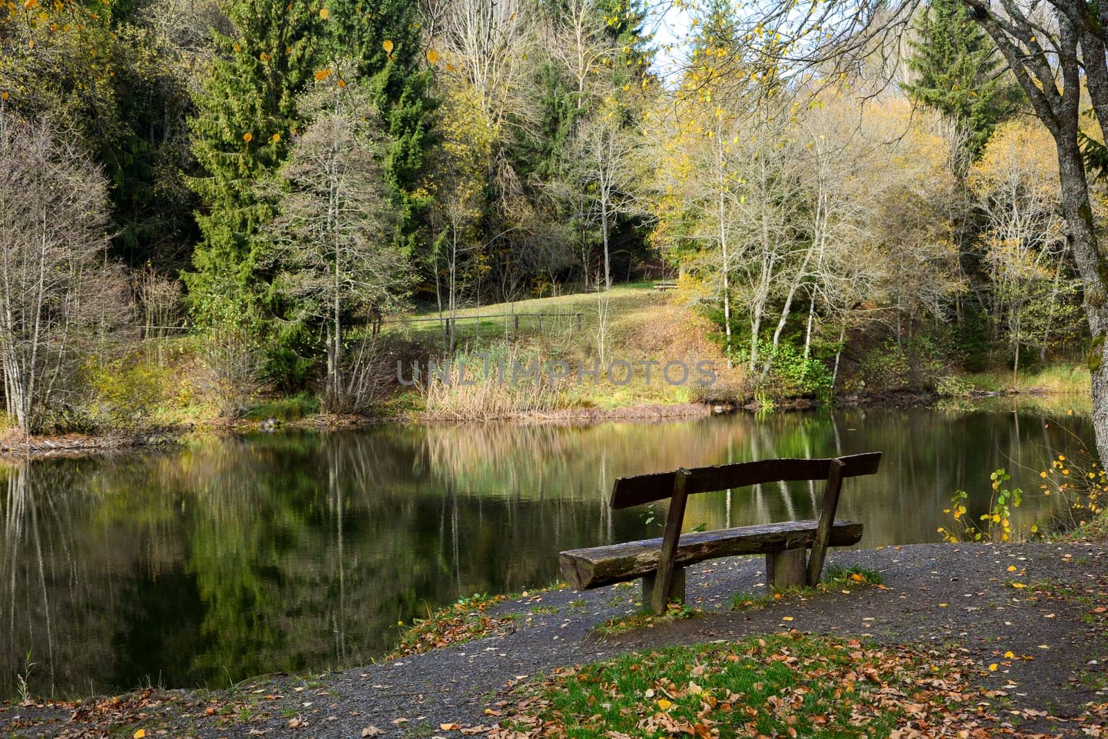 Empty wooden bench on a small lake in a forest, with reflection on the water