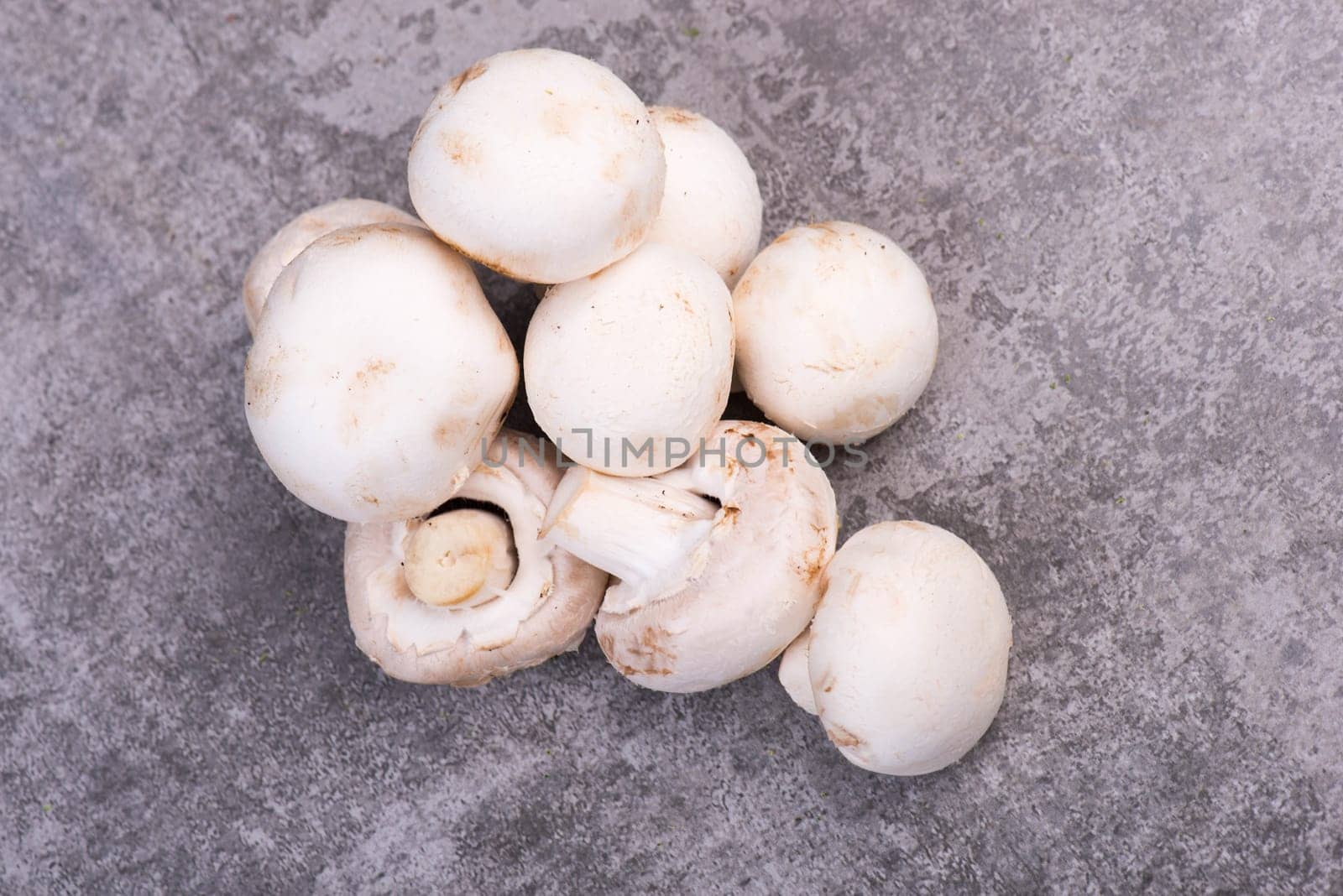 Champignons on a grey textured bakcground, empty copy space