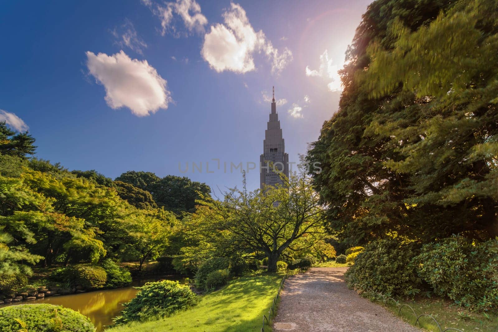 Shinjuku's Docomo tower overlooking the Upper Pond and the pine and maple forests of the traditional Japanese garden of Gyoen Park under a blazing sun in early summer.
