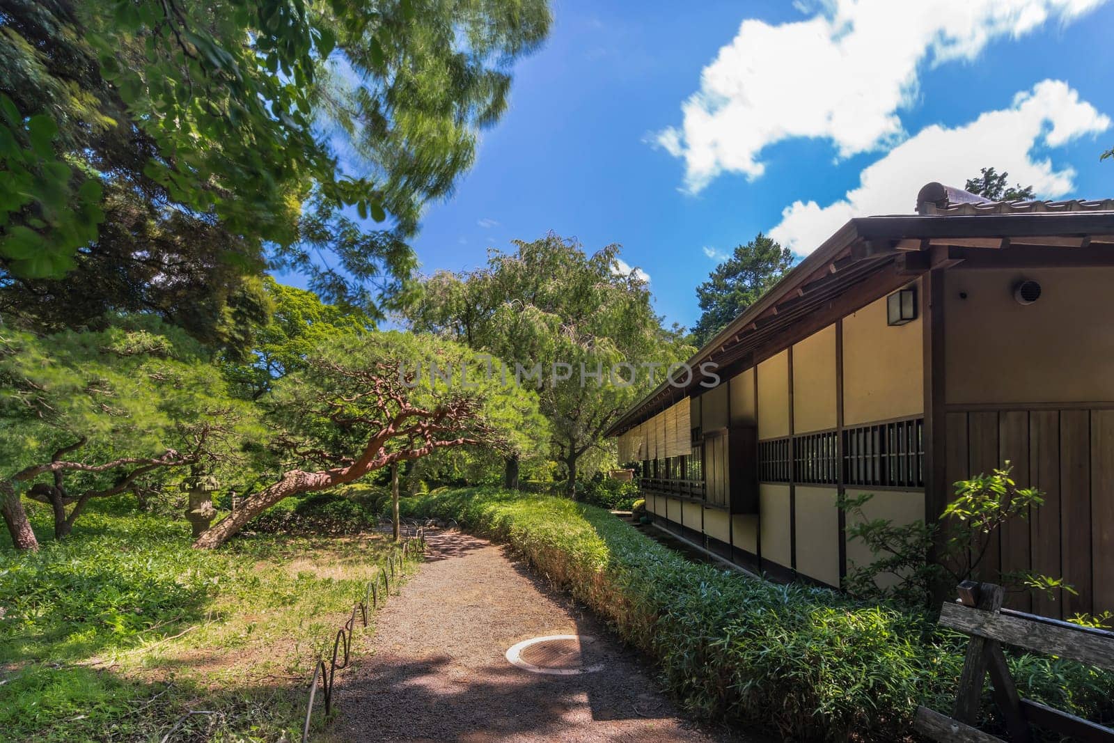 Tea House named Rakuutei lined by a path surrounded by pine trees and stone lantern in Shinjuku Gyoen Park in Tokyo in Japan.