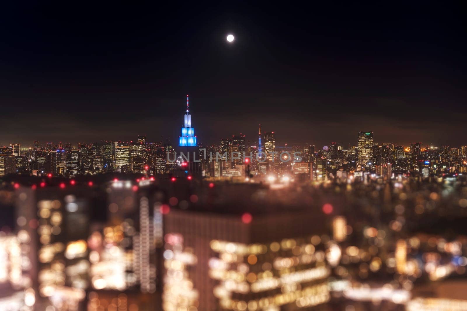 Night-time panoramic view from the Tokyo Metropolitan Government Building on a full moon night.
