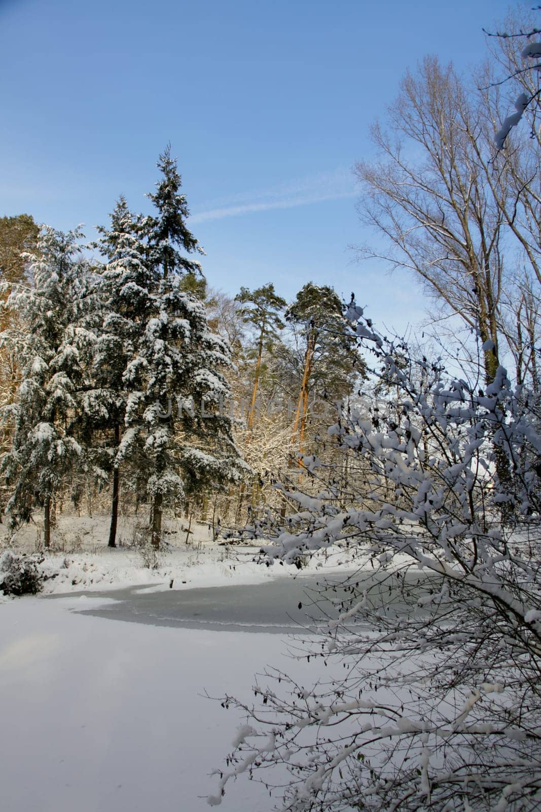 The forest is one of the most precious treasures we have in the world