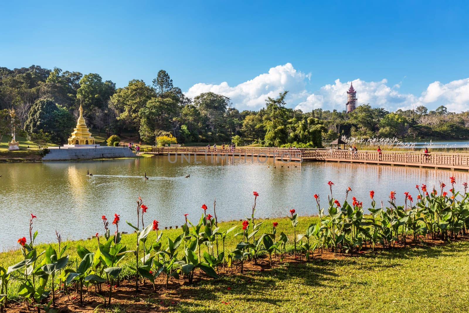 National Kandawgyi Gardens Pyin Oo Lwin Mandalay state Myanmar (Burma)
