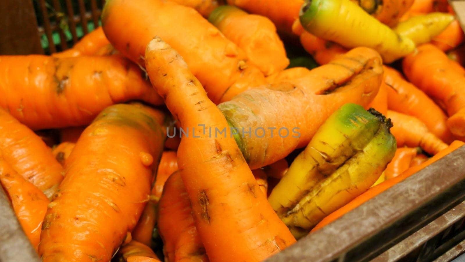 many organic carrots on the market place