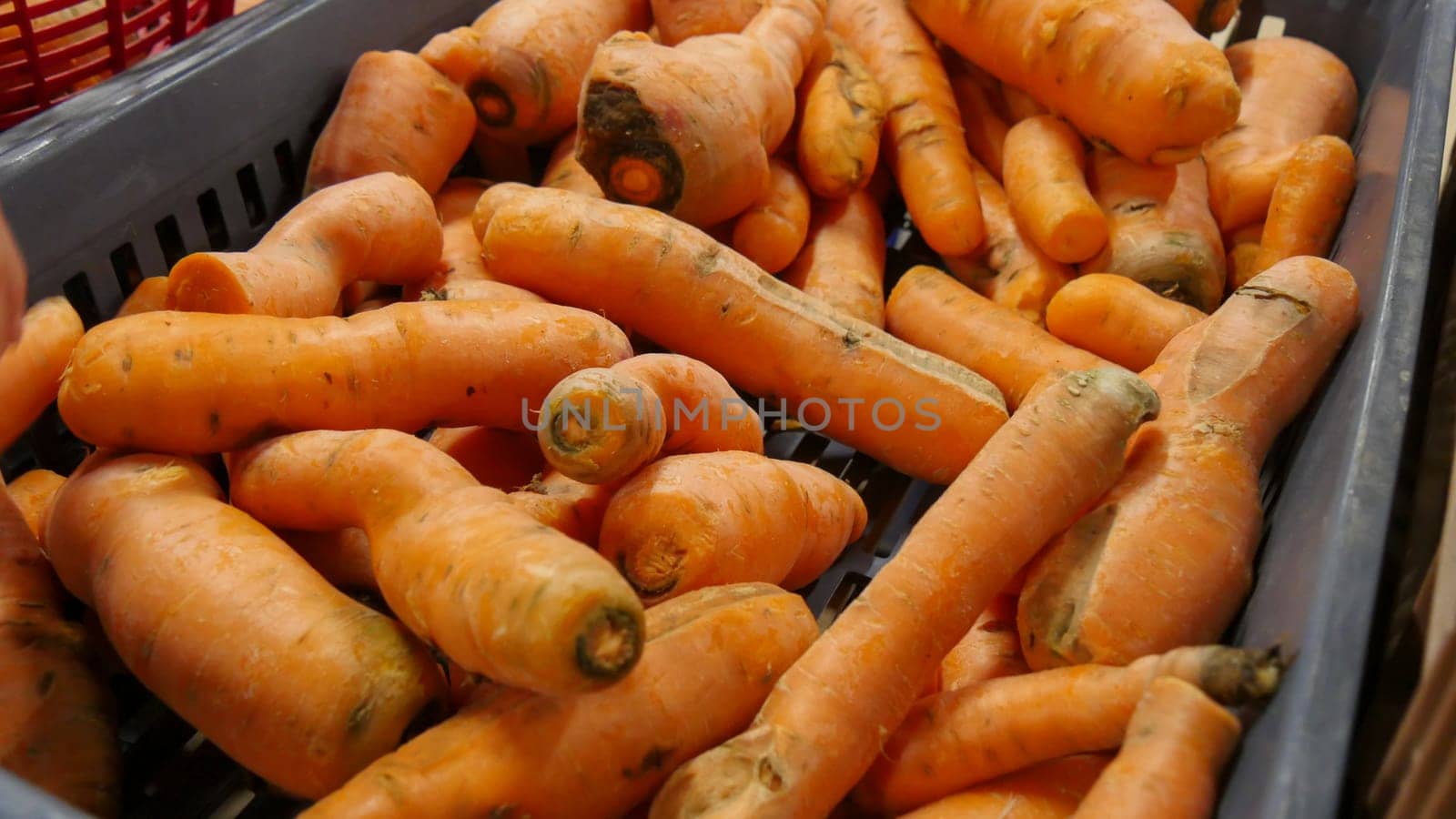 many organic carrots on the market place