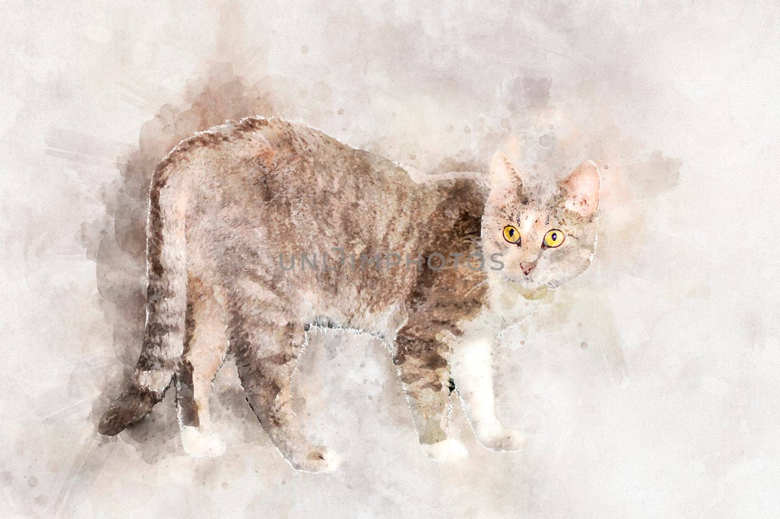 A graceful gray tabby cat with yellow eyes stands and looks at the camera.. Stylization in watercolor drawing