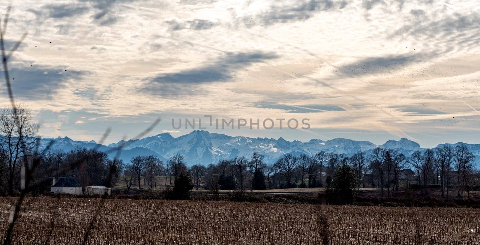 a panorama of field, Pyrenees mountains on background
