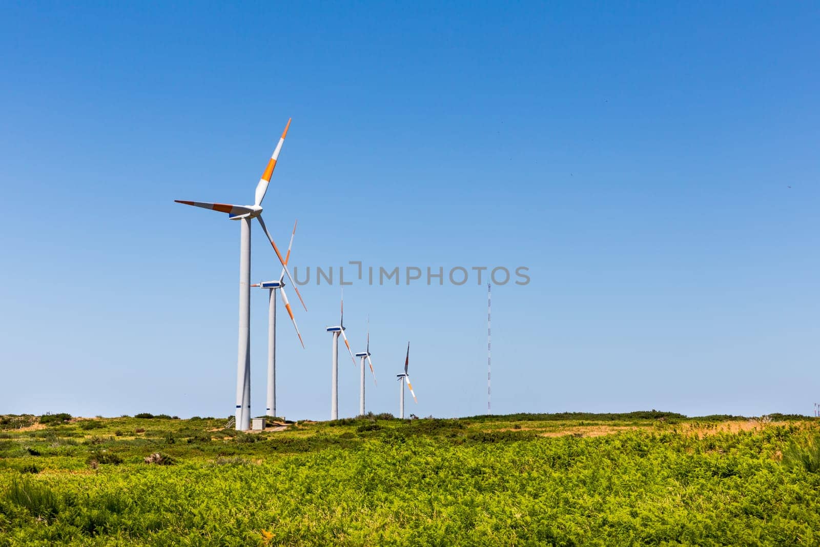 Windmills in the green valley against clear sky