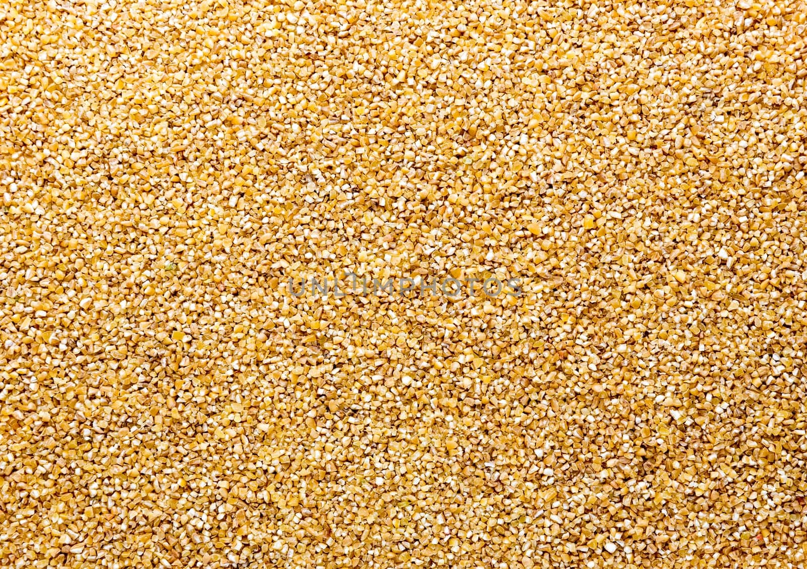 Corn grains. Background or texture