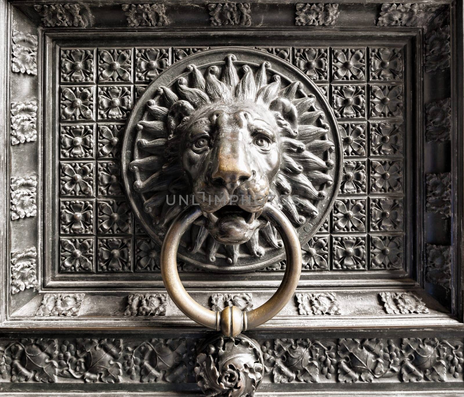 The cathedral of Cologne. Lions head door knocker