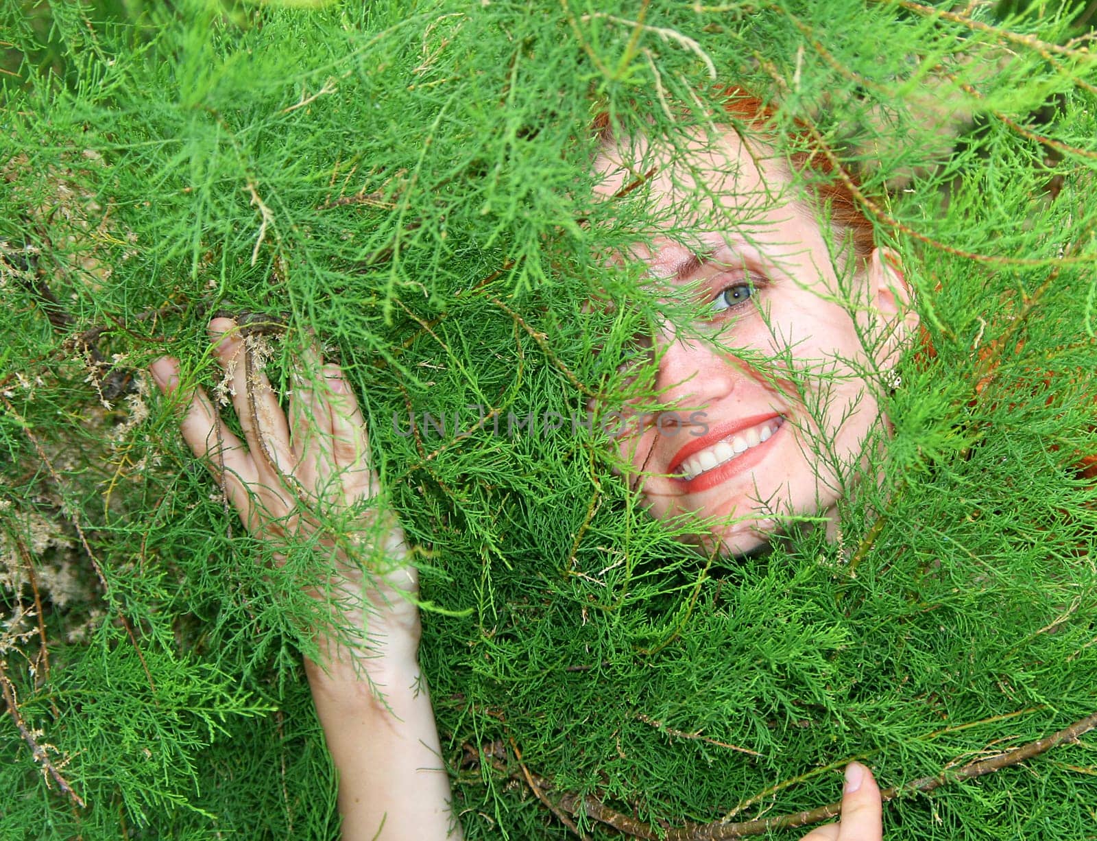 Young smiling woman in thuja tree