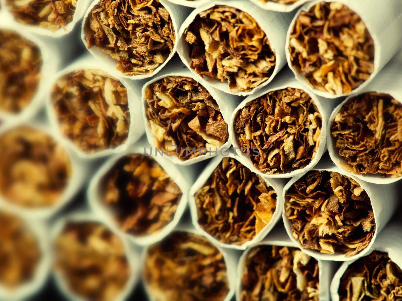 Close-up of cigarettes in pack. Toned