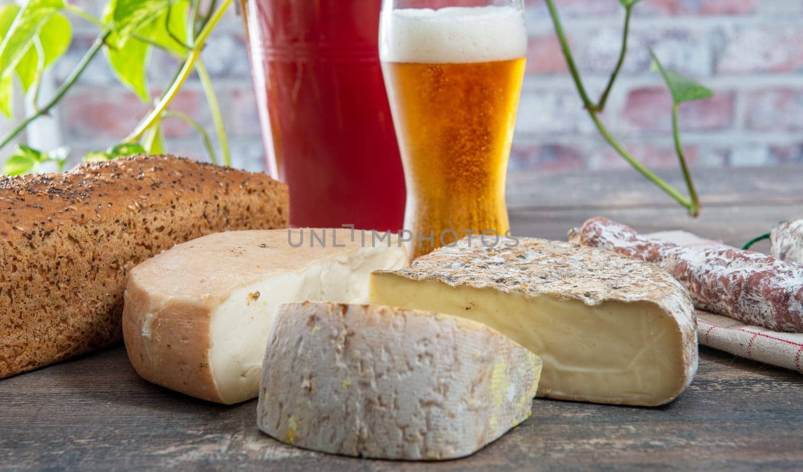 cheeses and Tomme de Savoie with a glass of beer, French cheese Savoy, french Alps France.