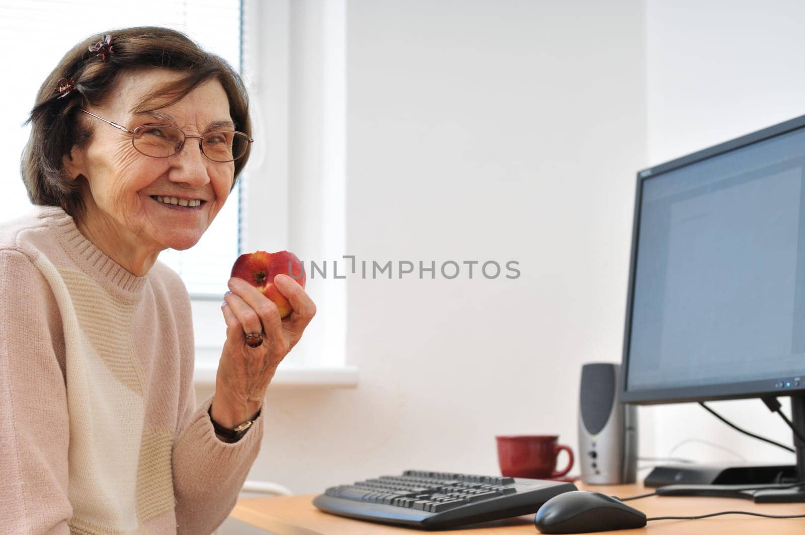 Portrait of smiling senior woman sitting at computer