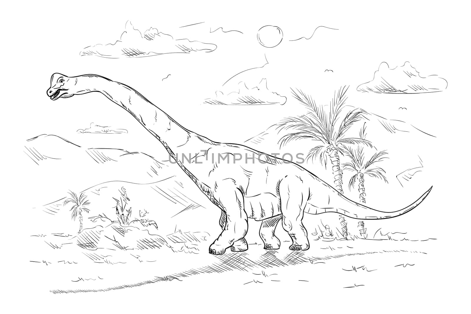 vector - dinosaur , isolated on background