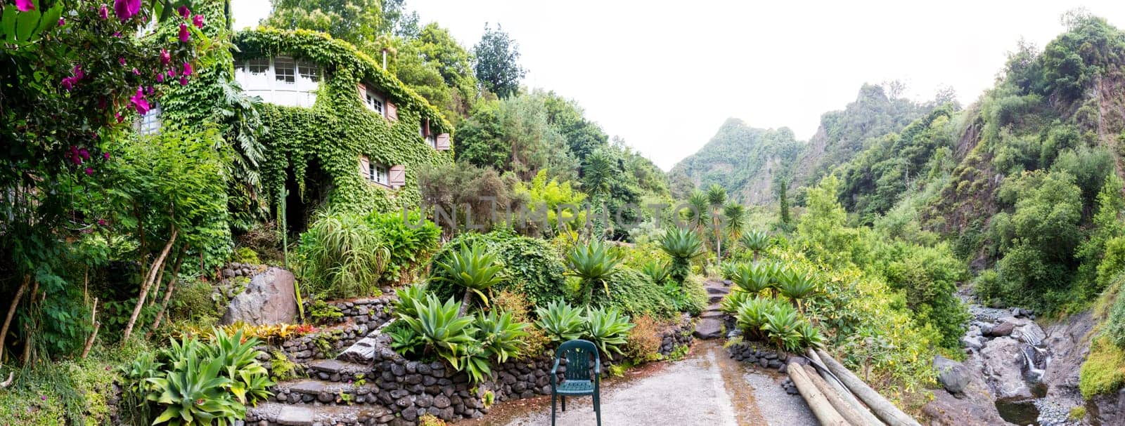Tropical botanic garden against mountains, Portugal, Madeira