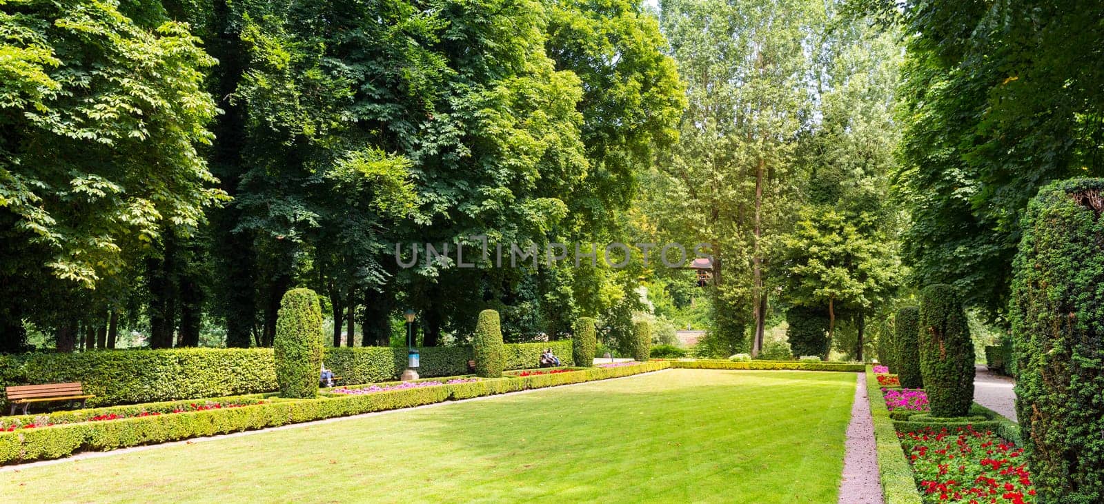 Benches between bushes in different shapes, summer park in Europe. Professional gardening, european green landscape, garden plants decoration