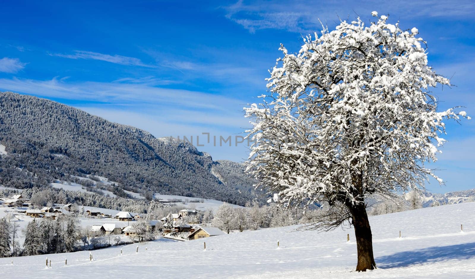 mountain landscape in winter with snow