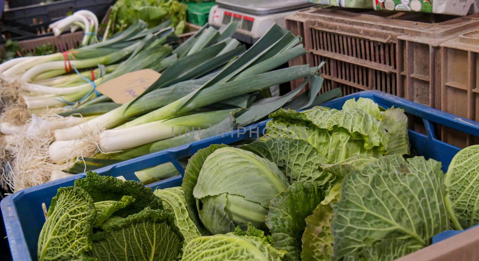 organic vegetables on the market place