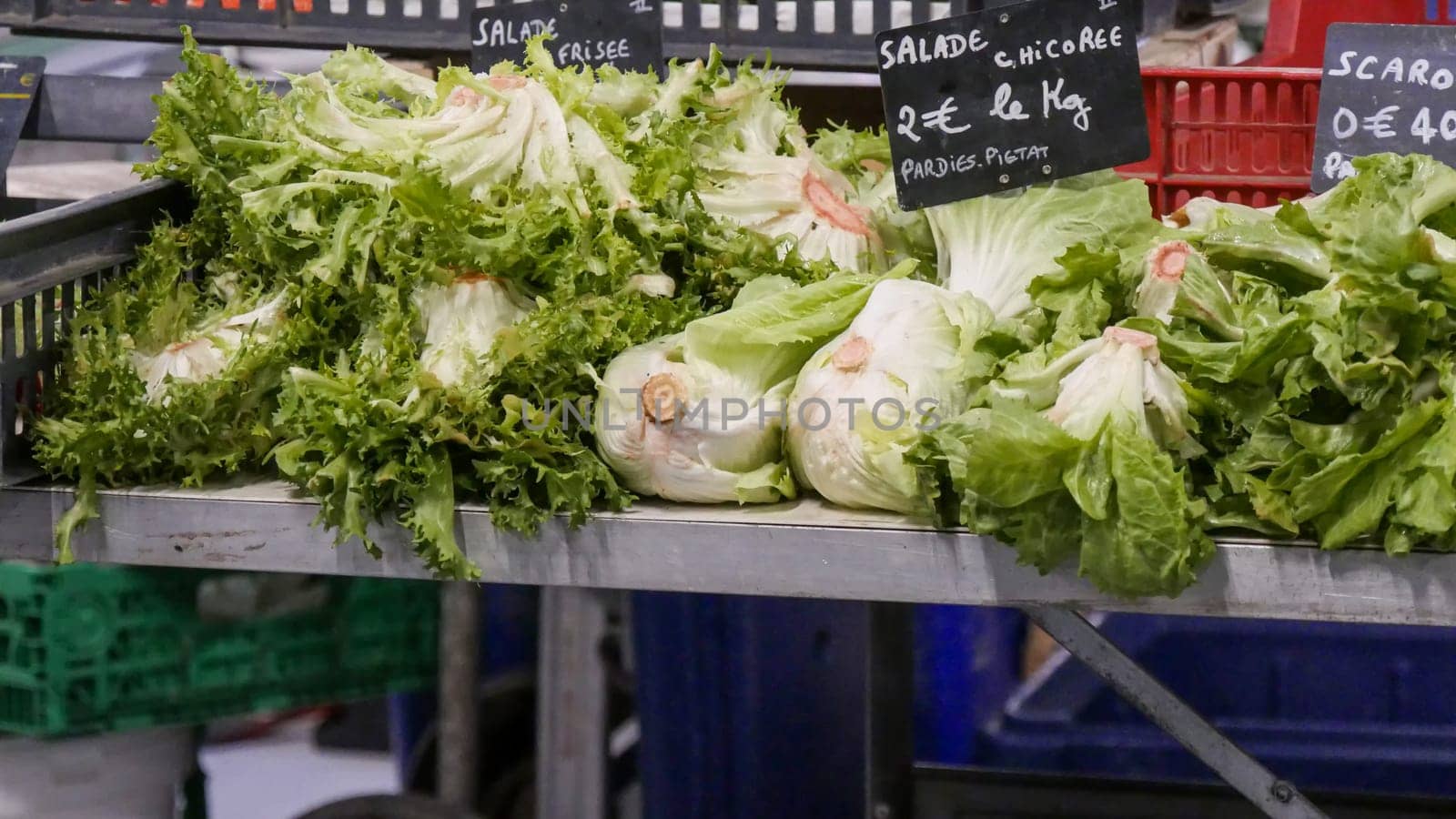 organic escarole salad on the market place