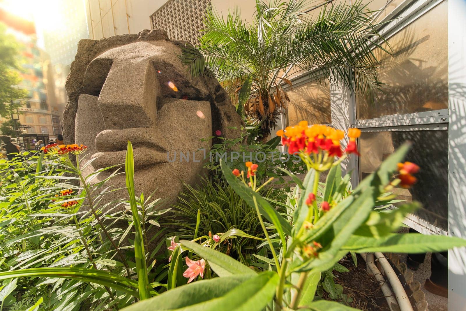 Statue of a Moai head surrounded by tropical flowers at the west exit of Shibuya Station in Tokyo, Japan. This statue was donated in 1980 by the prefecture of Nijima island of Izu archipelago to commemorate the 100 years of the transfer of the island in Tokyo Prefecture.