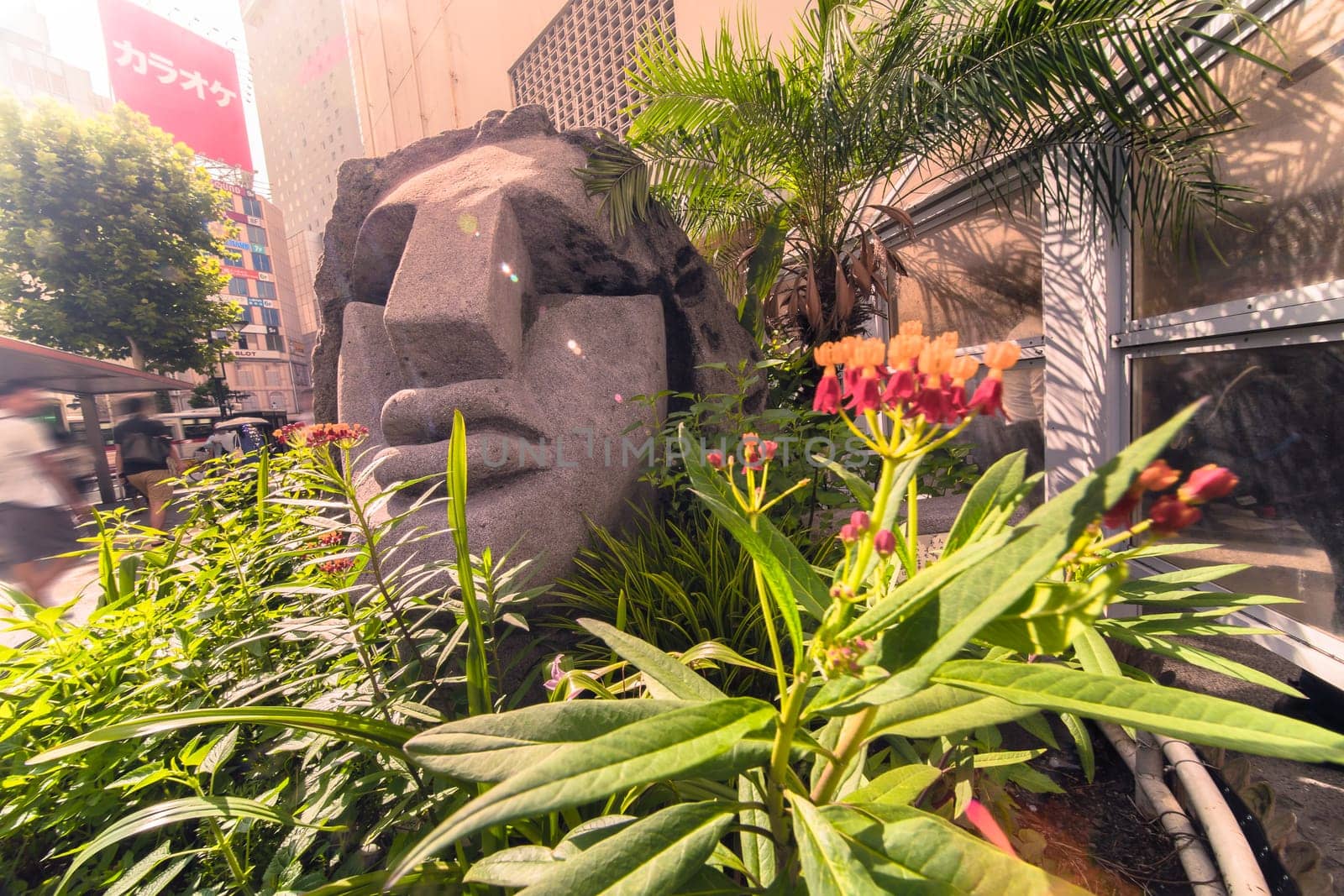 Statue of a Moai head surrounded by tropical flowers at the west exit of Shibuya Station in Tokyo, Japan. This statue was donated in 1980 by the prefecture of Nijima island of Izu archipelago to commemorate the 100 years of the transfer of the island in Tokyo Prefecture.