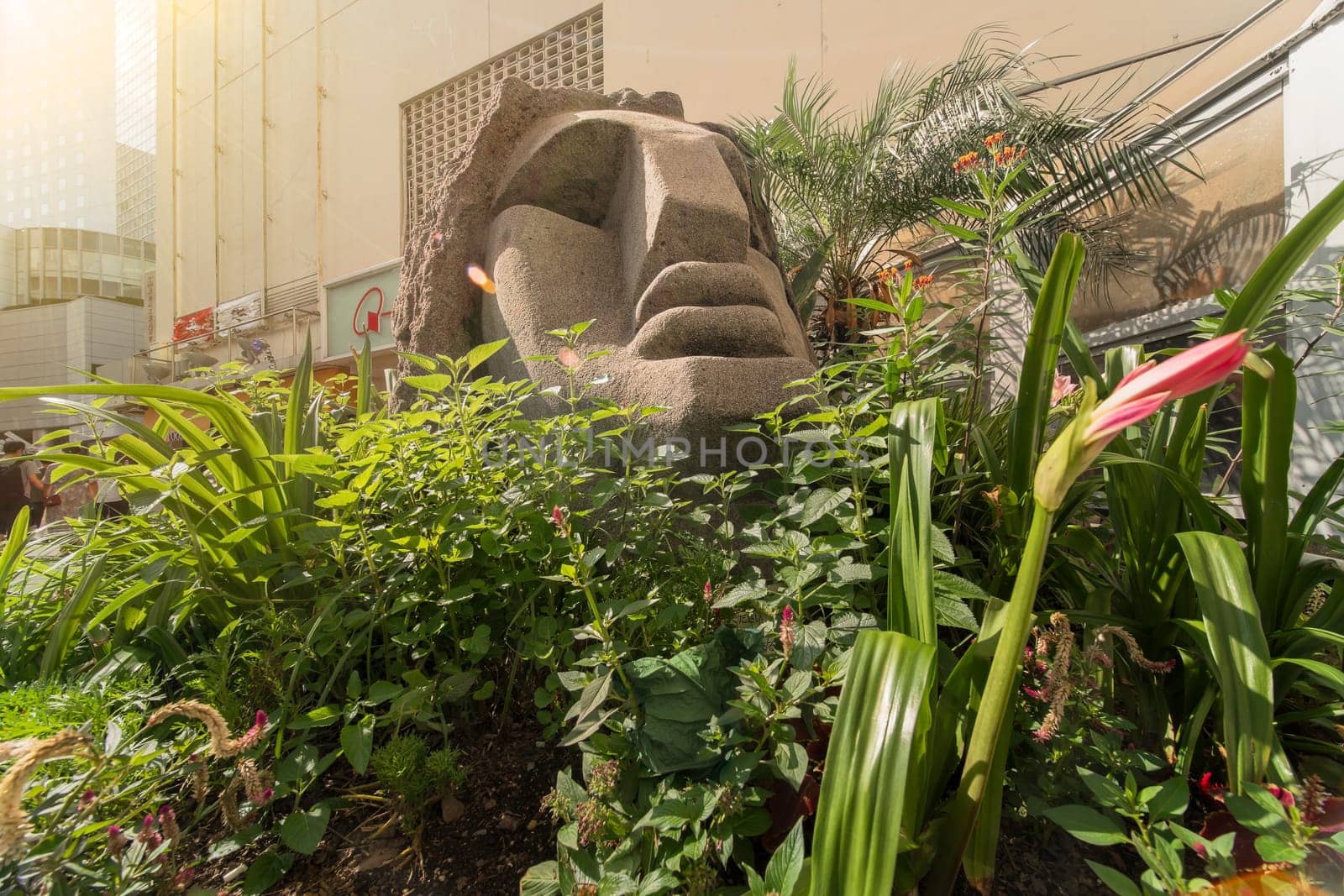 Statue of a Moai head surrounded by tropical flowers at the west exit of Shibuya Station in Tokyo, Japan. This statue was donated in 1980 by the prefecture of Nijima island of Izu archipelago to commemorate the 100 years of the transfer of the island in Tokyo Prefecture.