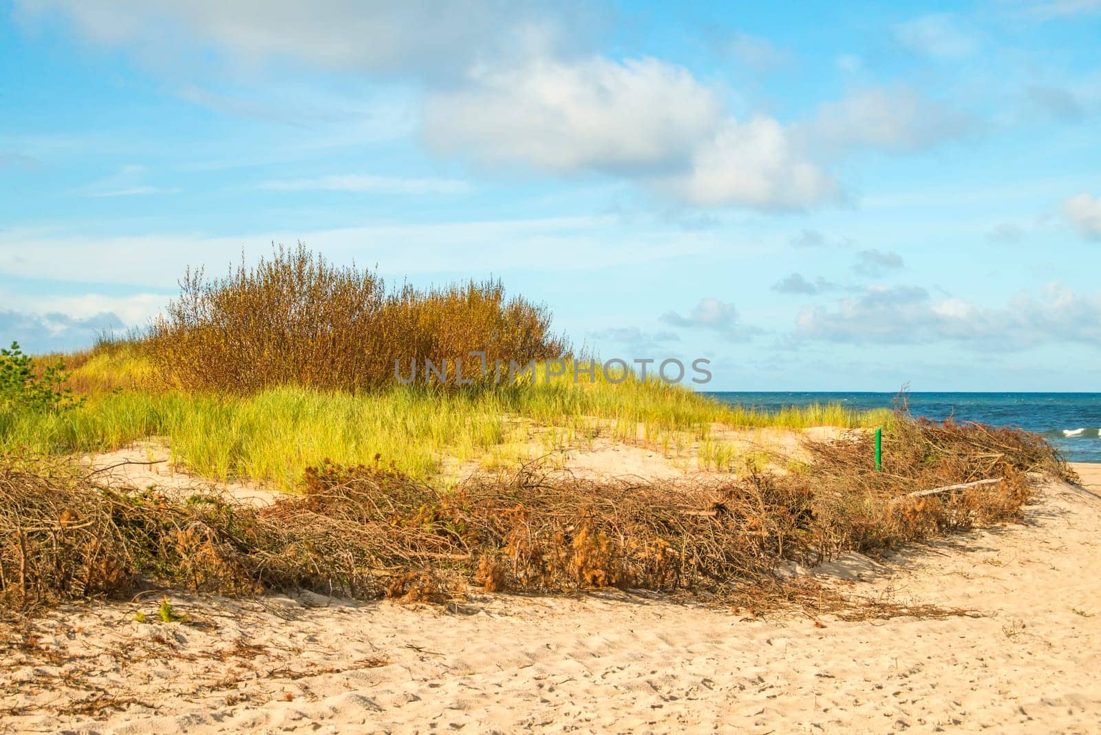 beach of the Baltic sea with beach grass and park bench in back light