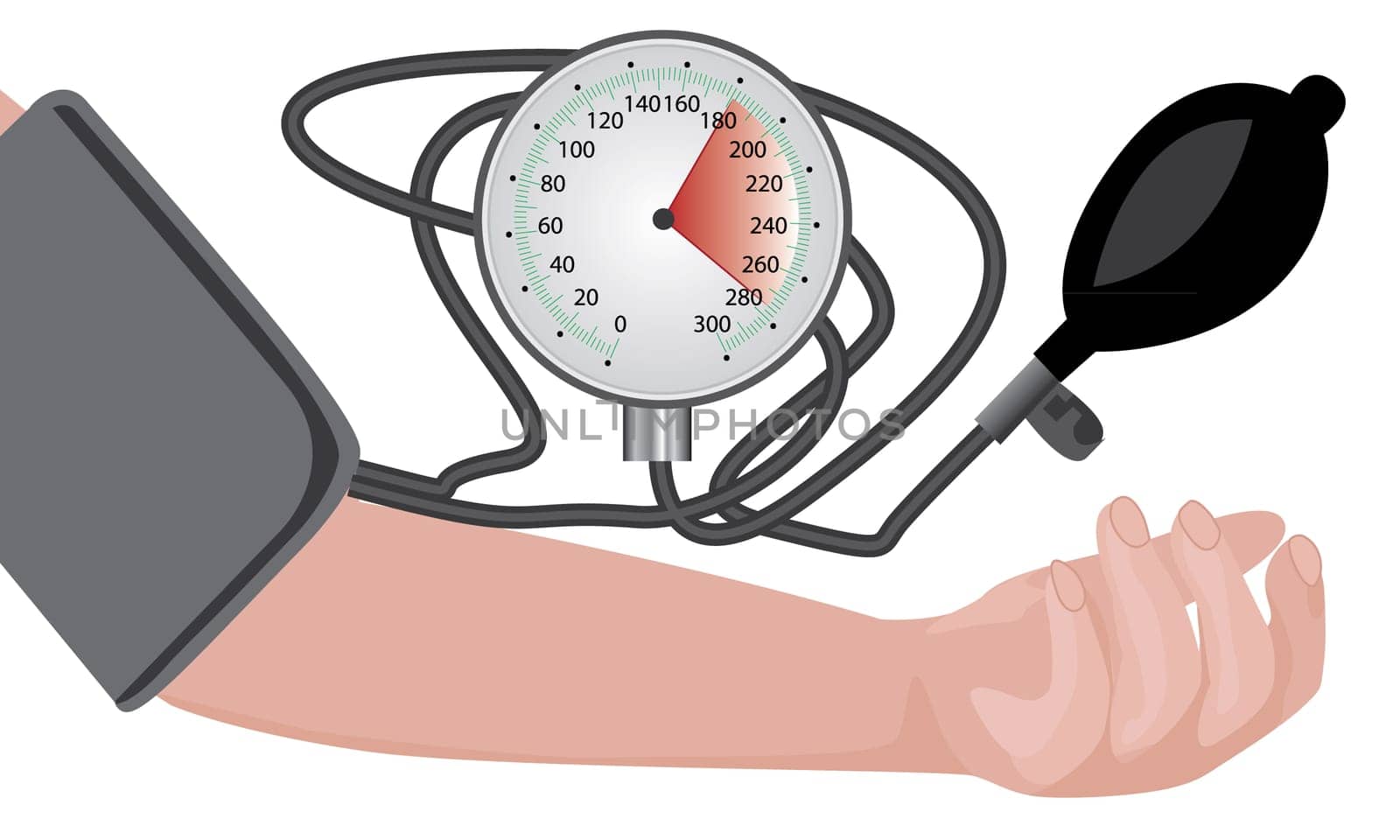 Blood pressure measuring cardio exam vector illustration on a white background