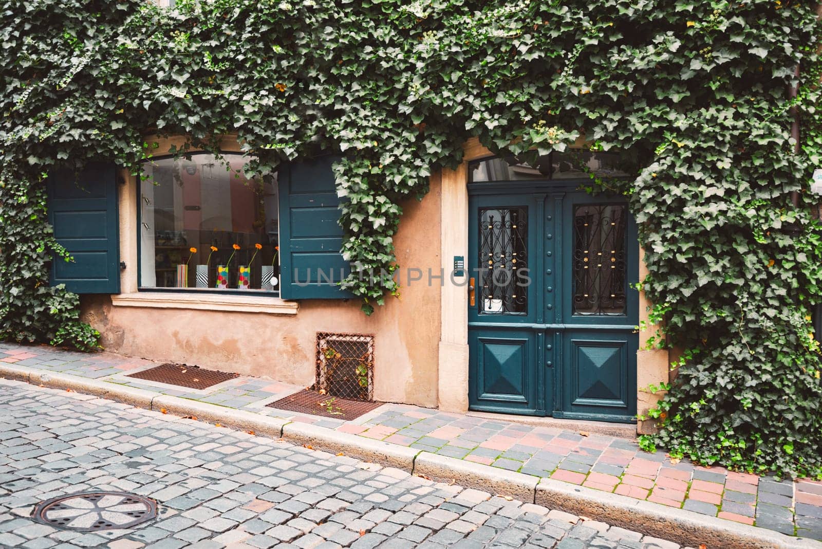 Beautiful street shop in Germany, Europe. Lush green on facade of building, cobblestone walkway in foregournd. Old architecture.