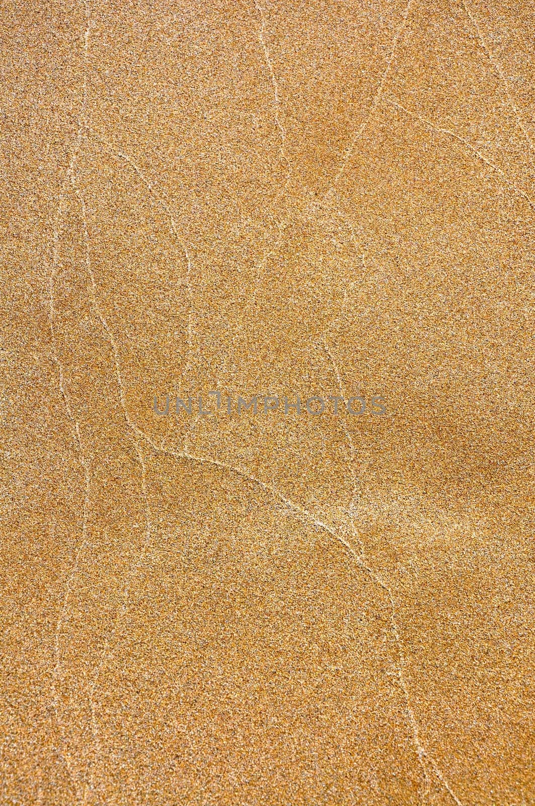 Sand texture on turtle beach during vacation in Cyprus