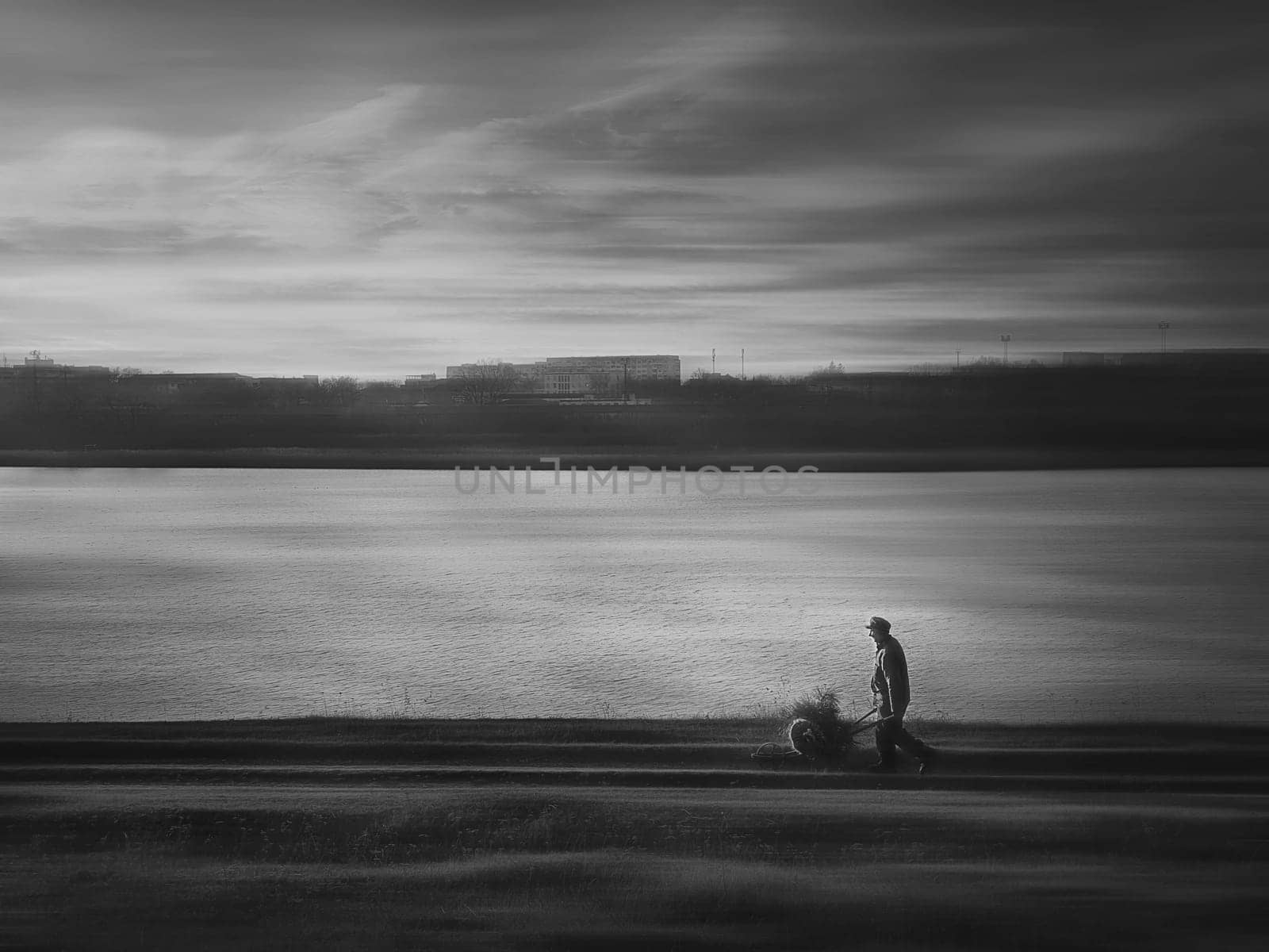 Moody countryside black and white scene, an old man carrying an antique trolley cart with firewood, going home, walking a dirt road track near the lake. Wanderer silhouette, silent evening atmosphere.