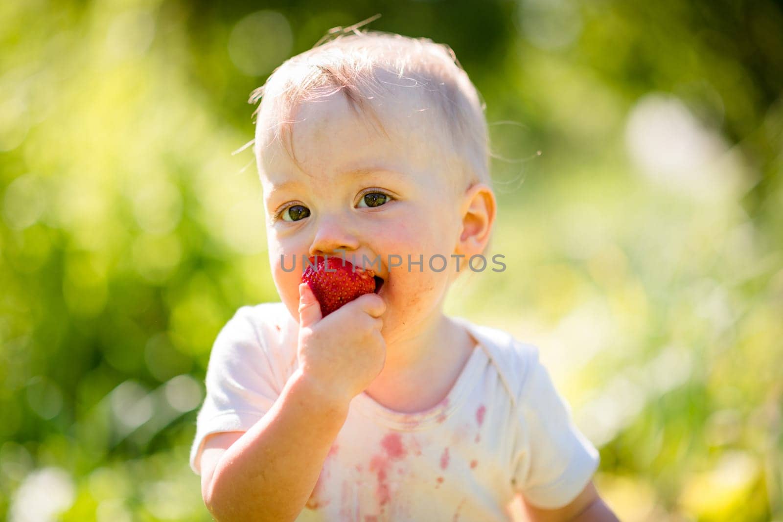 Cute little child eating strawberries, outside in backyard garden