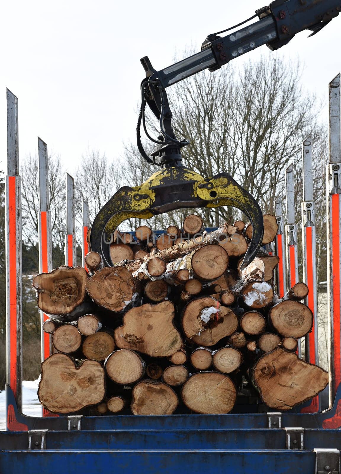 Wooden transporter