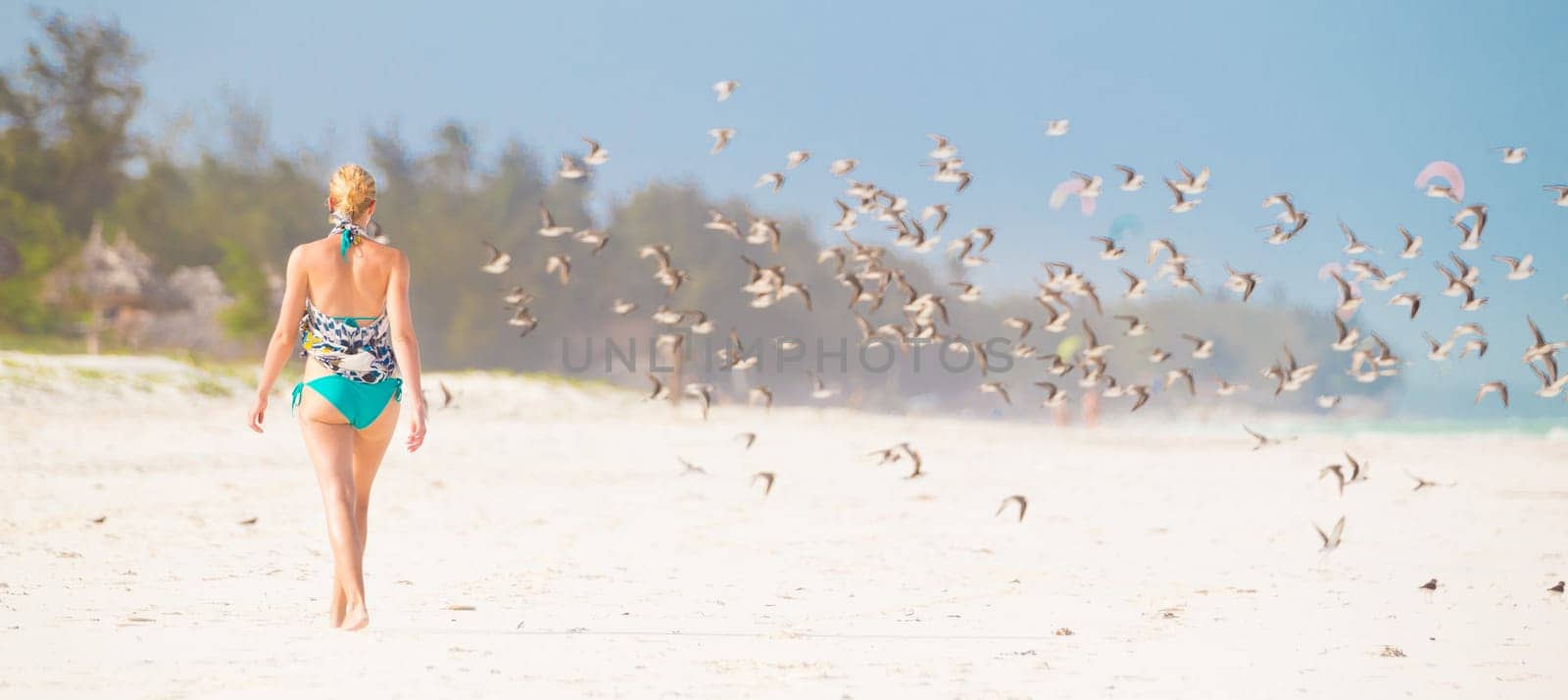 Woman walking on the beach among flock of birds. Beautiful caucasian model  wearing colorful scarf and turquoise bikini on vacations on Paje beach, Zanzibar, Tanzania