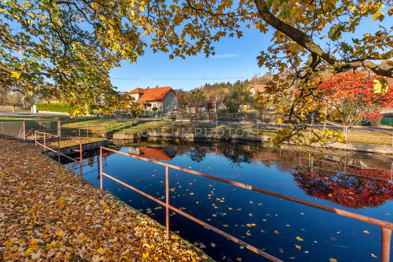 Autumn time at the village - water reservoir. High quality photo