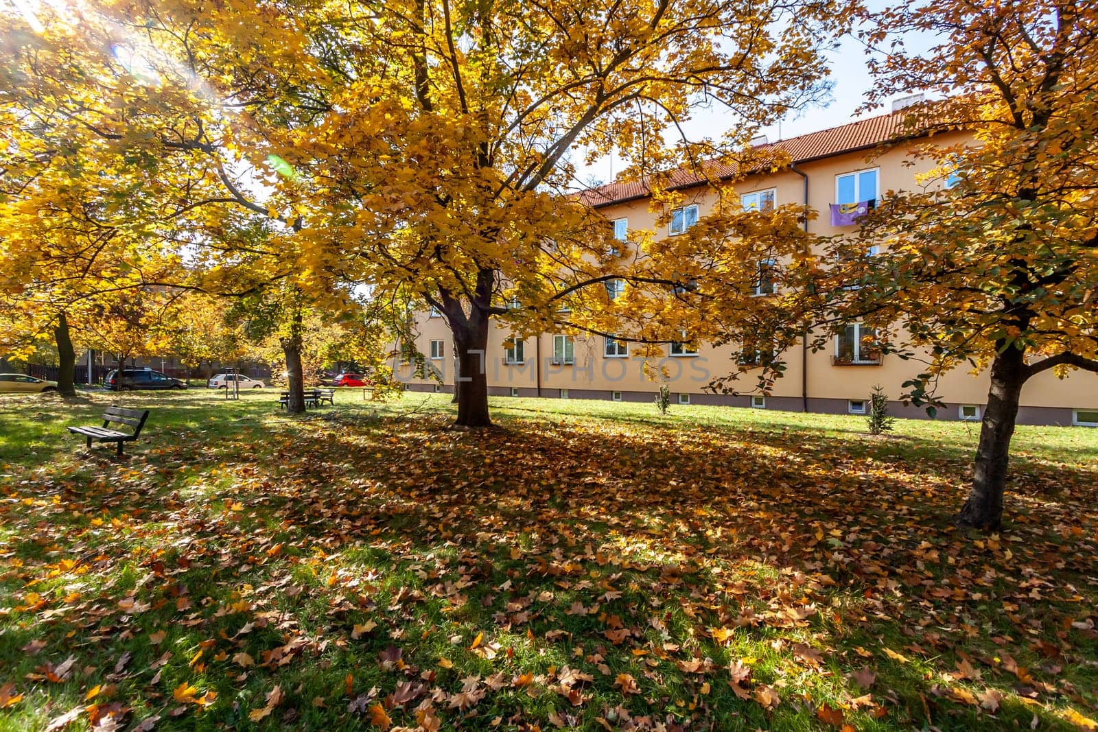 autumn time in Pardubice city. High quality photo.