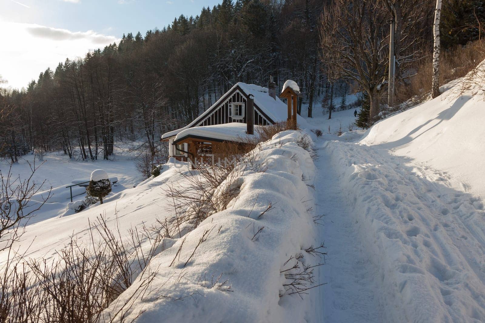 Orlicke Mountains - Beautiful Snowy Wooden Cottage. High quality photo