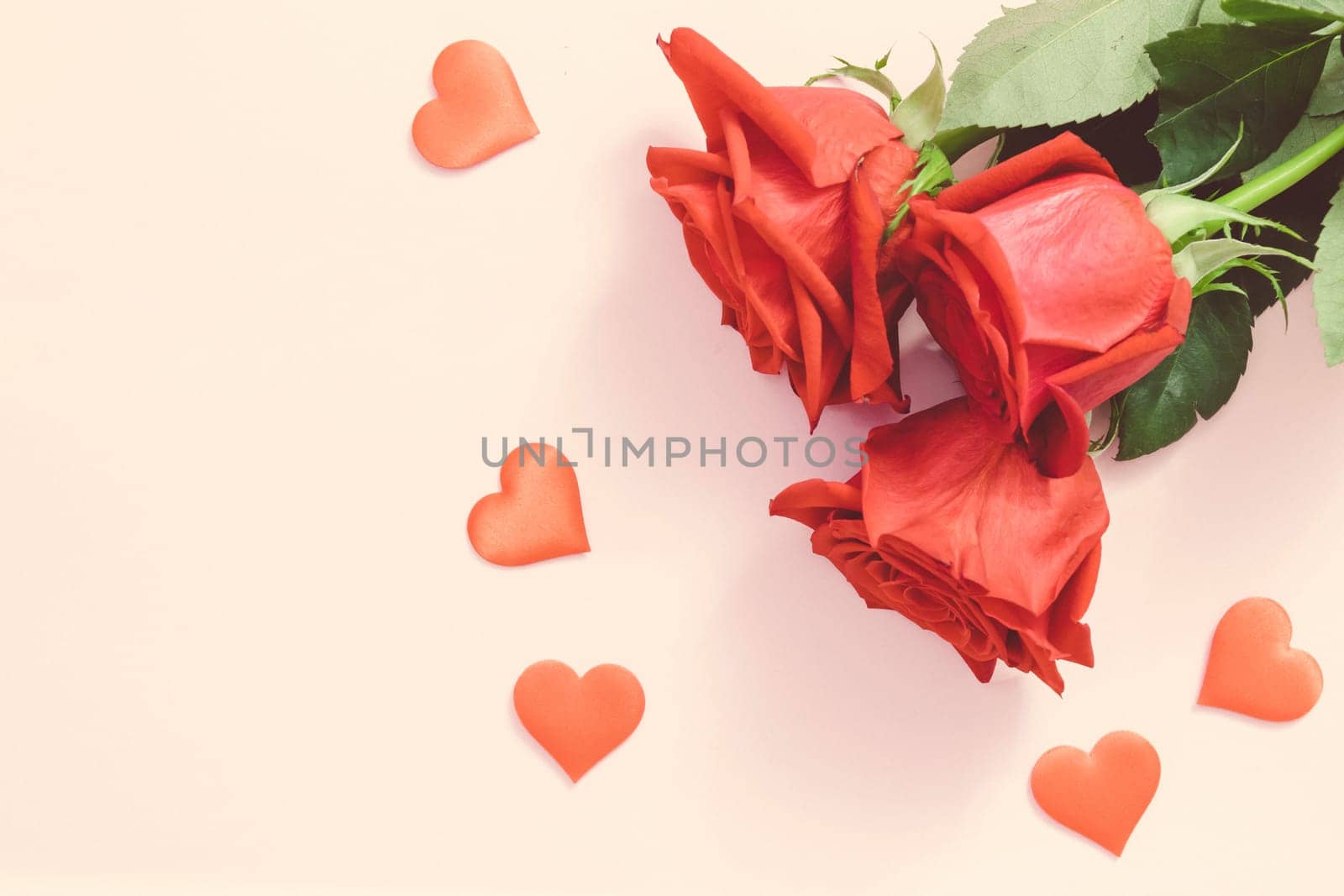Valentine's day background,Red rose with red hearts and gift box on pink background,For card and wedding background. Copyspace