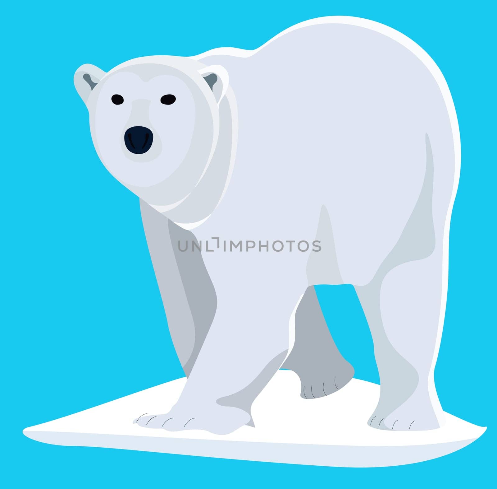 polar bear white arctic iceberg animal strong illustration