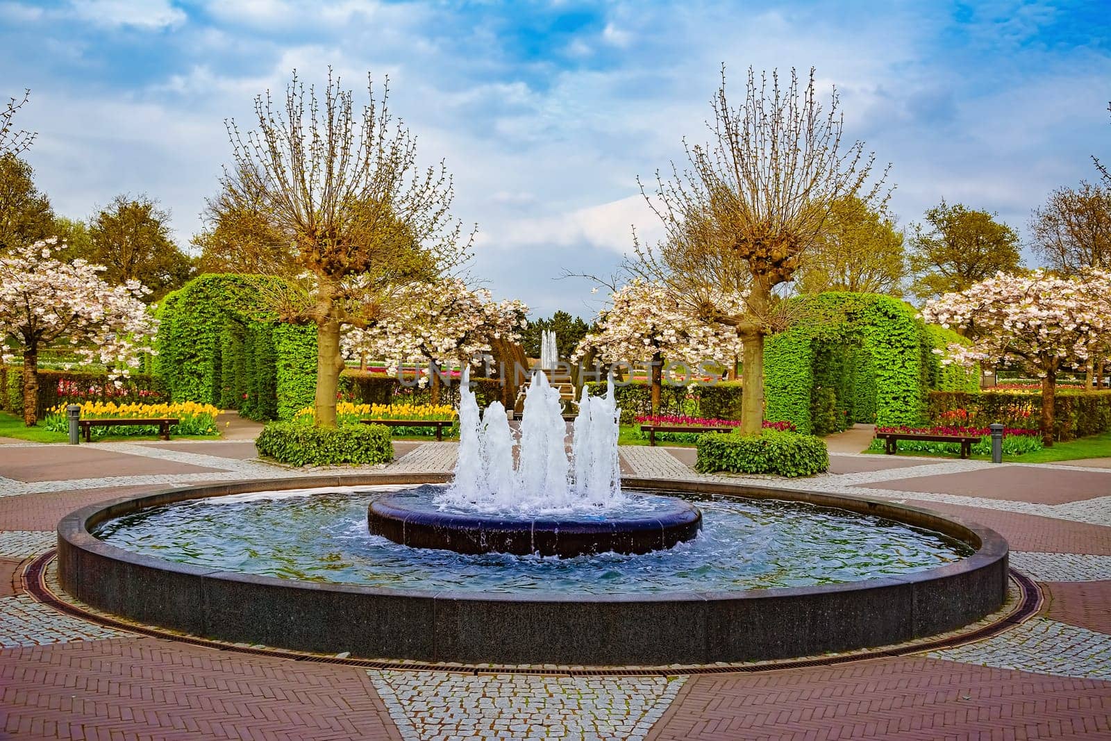 Spring in the park. Lisse, the Netherlands.